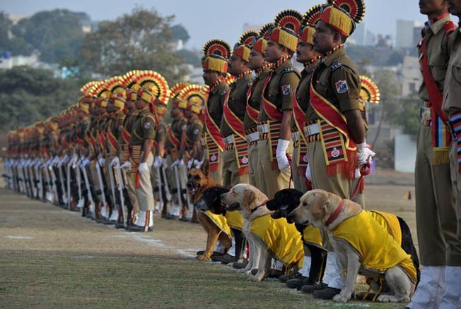 after-26-years-army-dogs-to-participate-in-the-republic-day