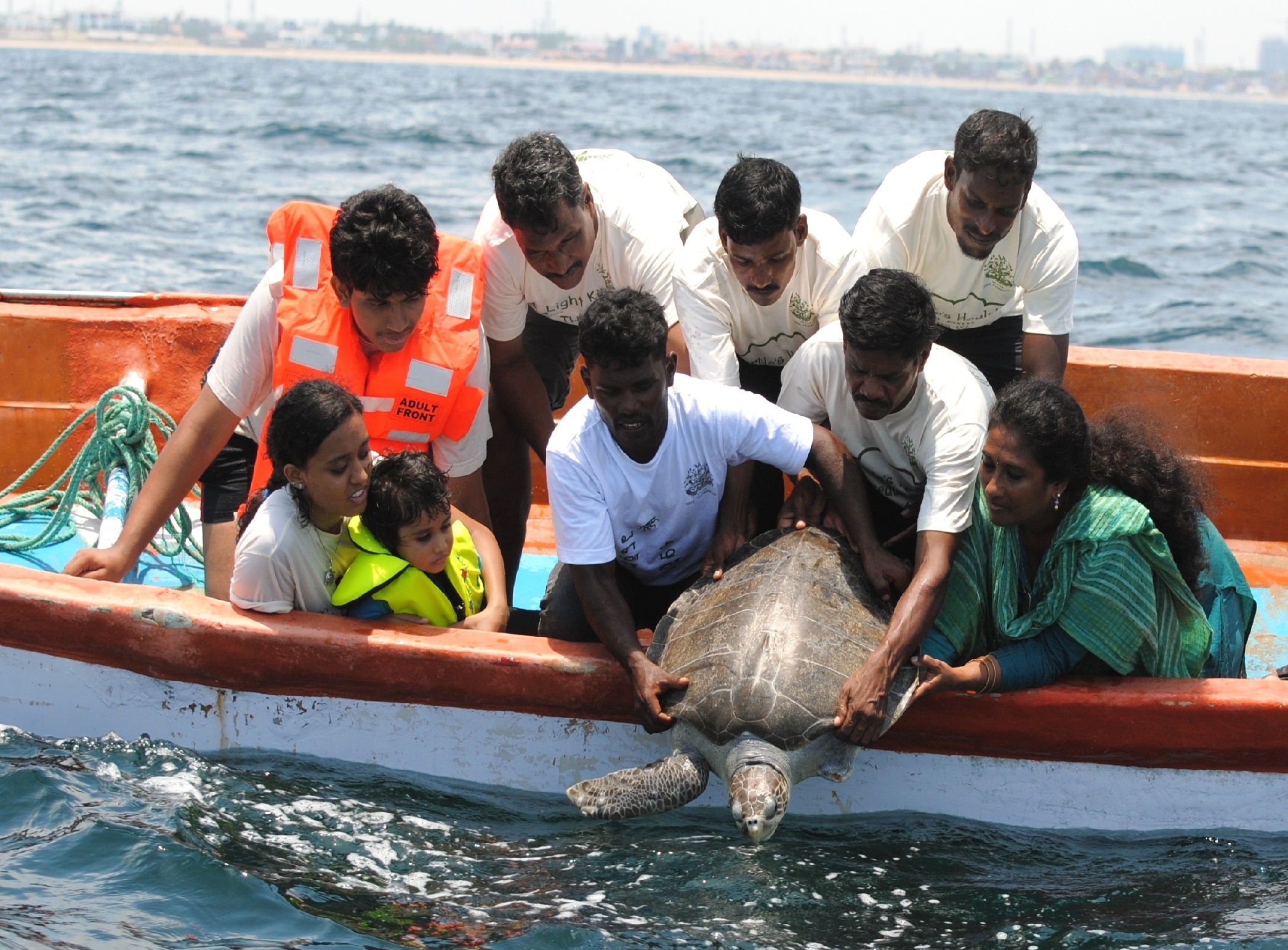 Saving turtles