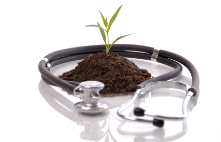 Naturopathic Medicine