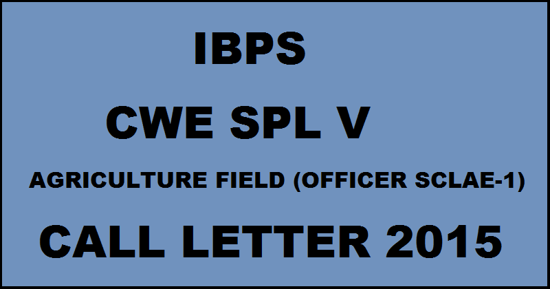 IBPS SO Agriculture Field (Officer Scale I) Call Letter 2015| Download Specialist Officer Hall Ticket Here