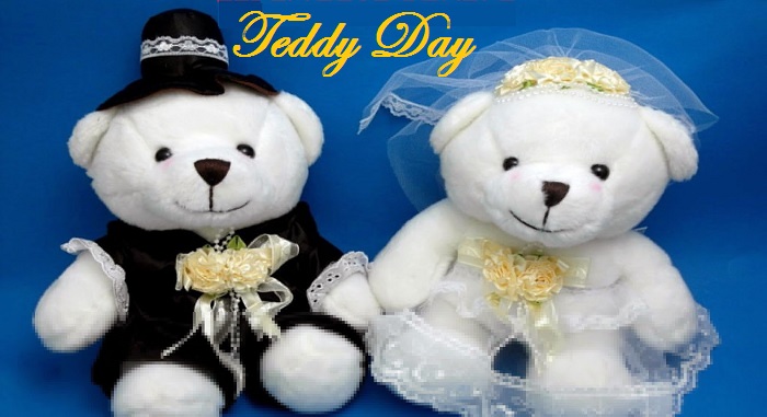 10th February Teddy Day