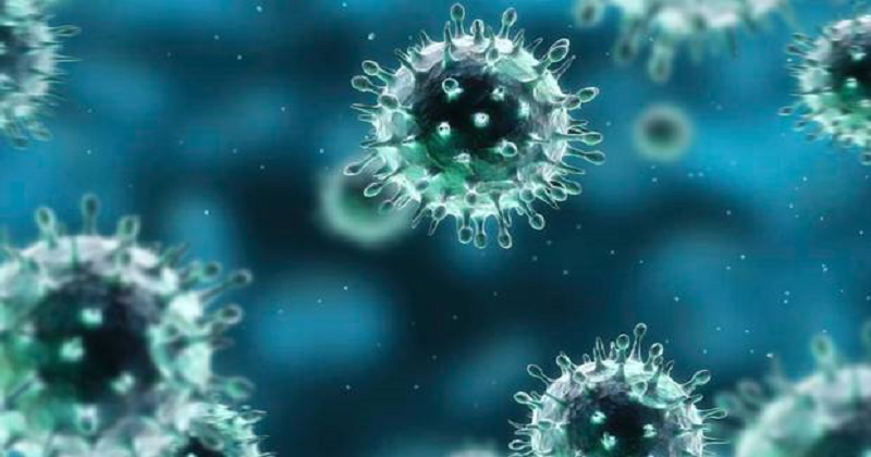 New SARS-like Virus Could Infect Humans