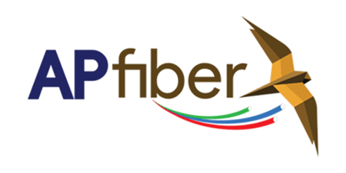 AP Fibernet