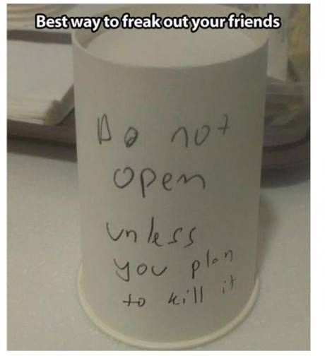 April fools Day Prank Ideas with paper cup