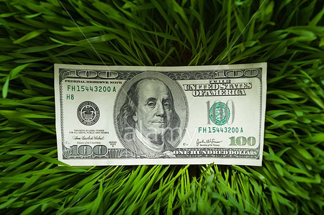 100 dollar bill in the grass.