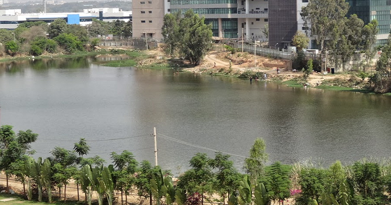 Oxygen, PH levels High In Devarabeesanahalli Lake