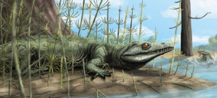 250-million-year-old-reptile-fossil-discovered