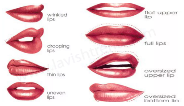 Types Of Lips Chart - Infoupdate.org