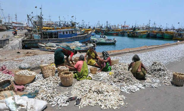 Annual 45-day Fishing Ban Begins On Friday In Tamil Nadu
