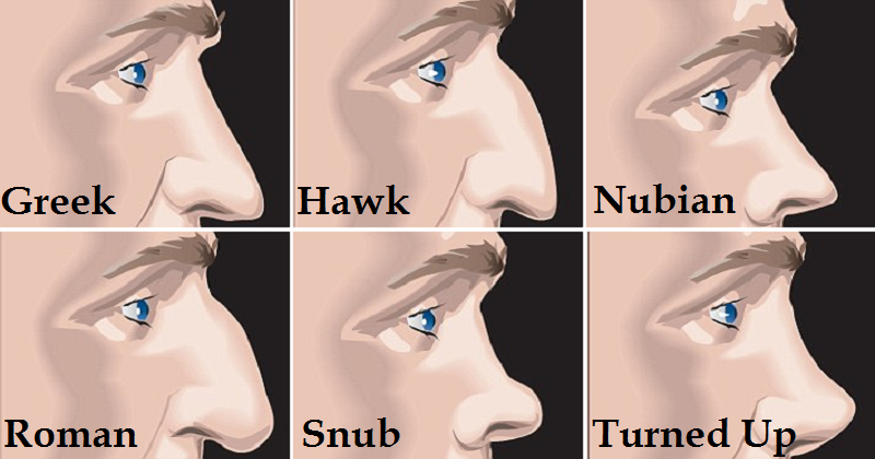 Here’s What The Shape Of Your Nose Reveals About Your Personality