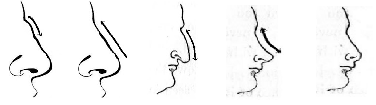 Shape Of Your Nose Reveals About Your Personality.