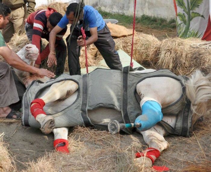 Shaktiman leg amputated