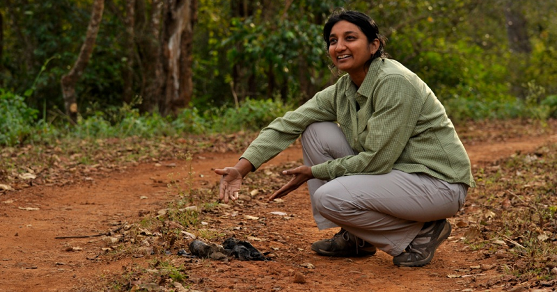 Uma Ramakrishnan Wins Parker Gentry Award For Work On Tigers