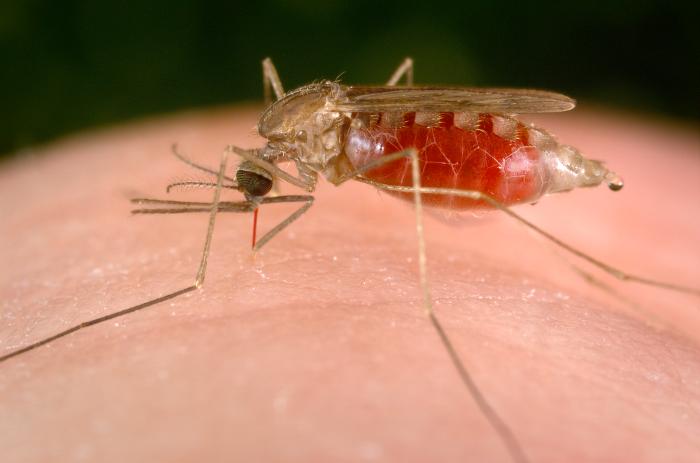 21 Malaria free countries by 2020