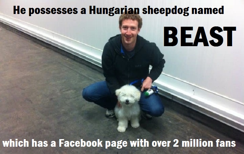 dog lover-Little Known Facts About Facebook CEO Mark Zuckerberg