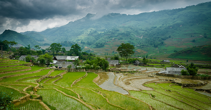 8000-year-old Paddy Field Discovered In China (2)