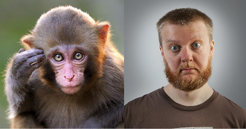 Humans & Monkeys Share Staring Behaviour
