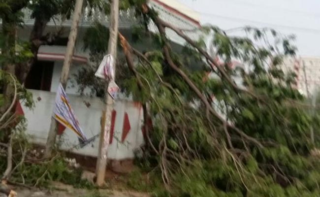 Hyderabad Loses 1,355 Trees To Strong Gale