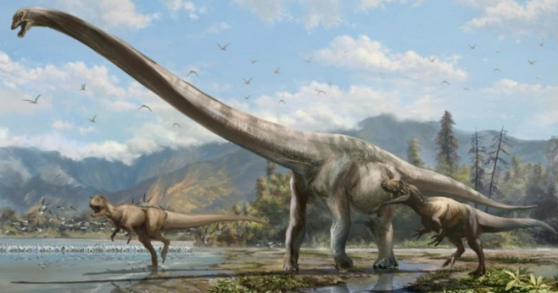 Long-Necked Baby Dinosaur Fossils Discovered in Madagascar