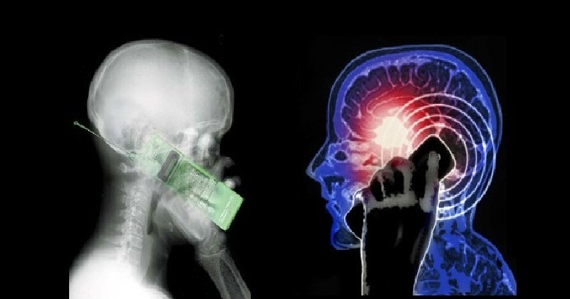 No Correlation Between Brain Cancer & Mobile Phones