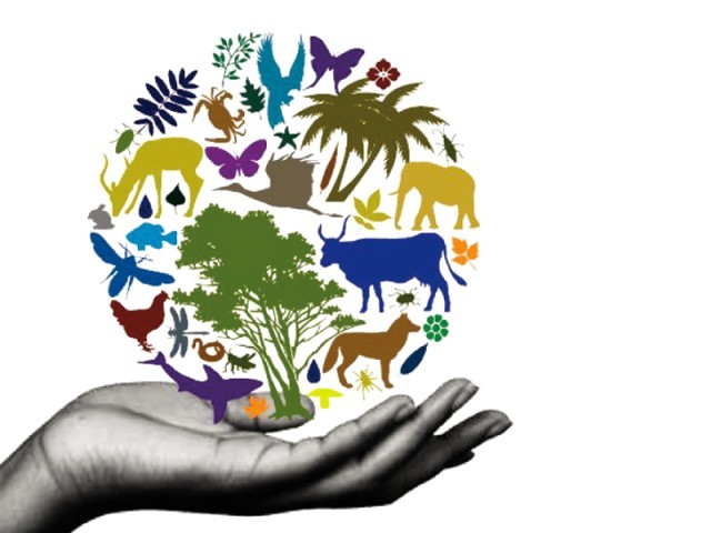 On International Day For Biological Diversity, UN Highlights Biodiversity's Role In Underpinning Development.