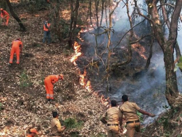 Rains In Uttarakhand Help In Fighting Forest Fires (1)