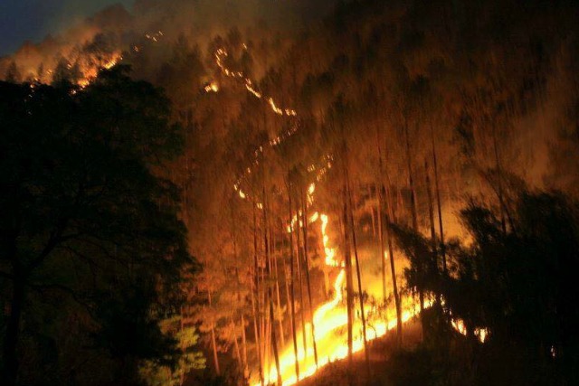 Uttarakhand Forest on fire