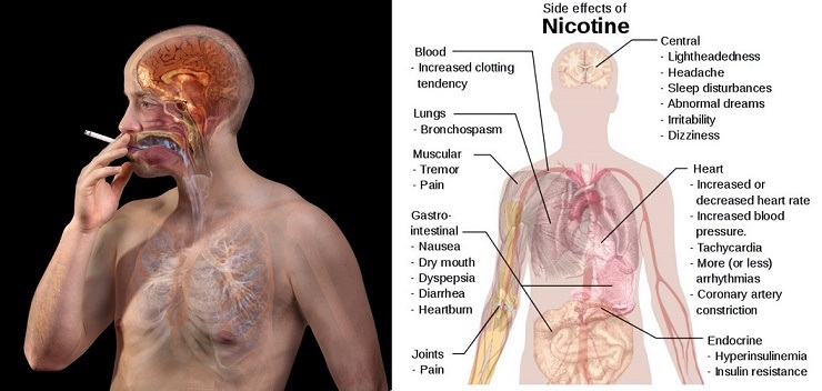 Foods that will Flush Out Nicotine From Your Body (5)