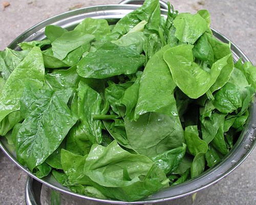 Spinach-Foods that will Flush Out Nicotine From Your Body