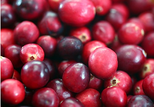 Cranberries-Foods that will Flush Out Nicotine From Your Body