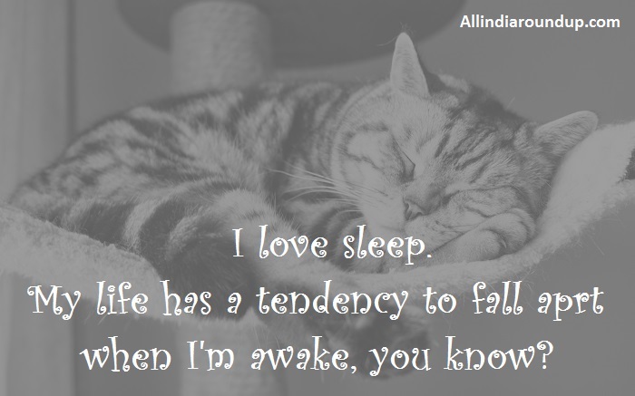 Quotes On People Who Just Love to Sleep (1)
