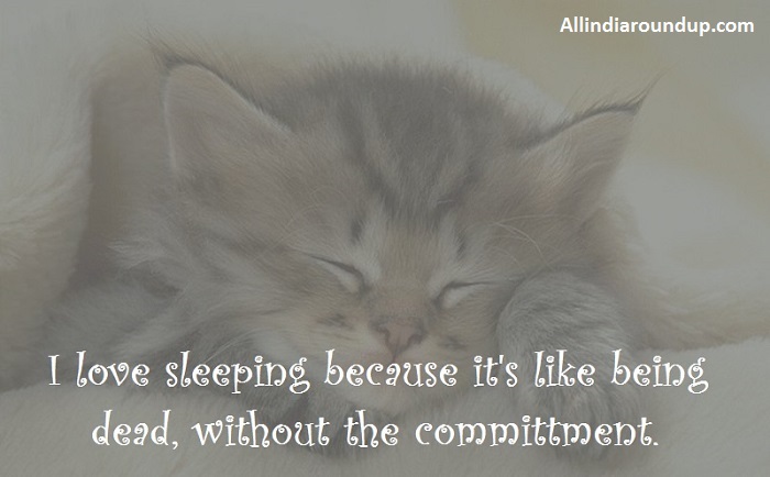 Quotes On People Who Just Love to Sleep (7)