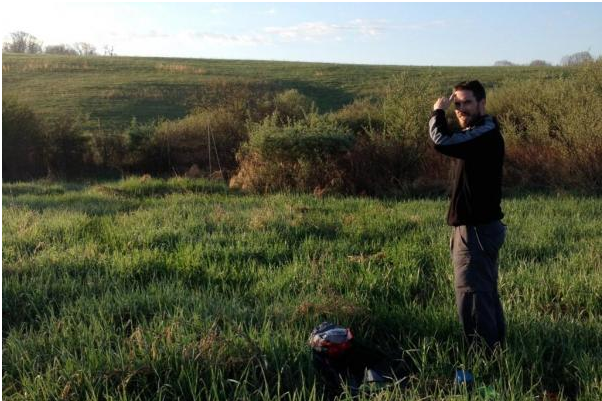 City Birds Again Prove To Be Angrier Than Rural Birds