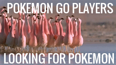 Pokemon Go Memes