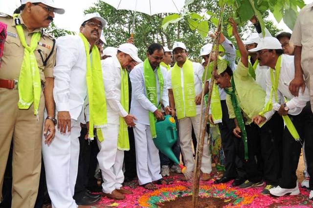 Over 25 Lakh Saplings Planted In Hyderabad In A Single Day (1)