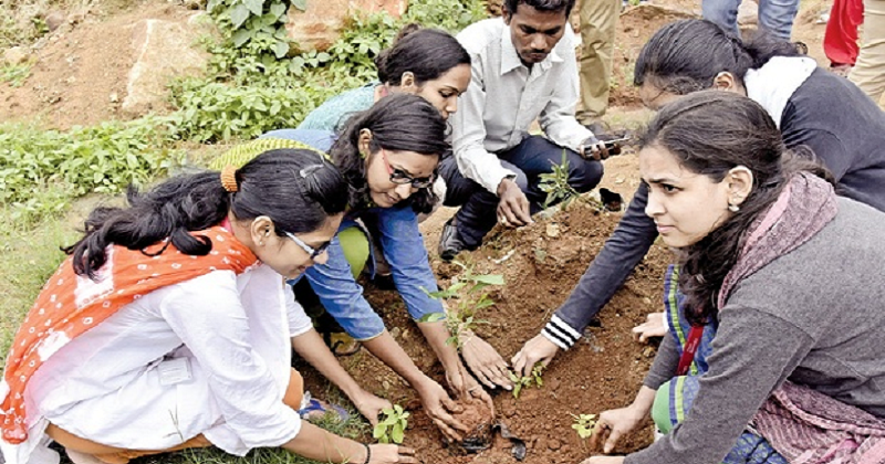 Over 25 Lakh Saplings Planted In Hyderabad In A Single Day (2)