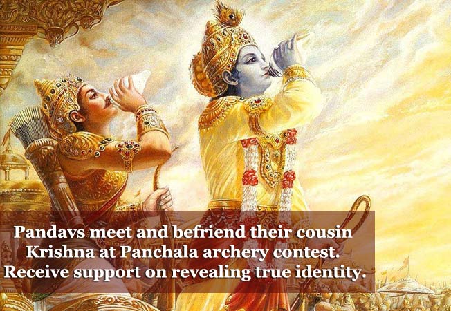 The Story Of Mahabharat in pictures (15)