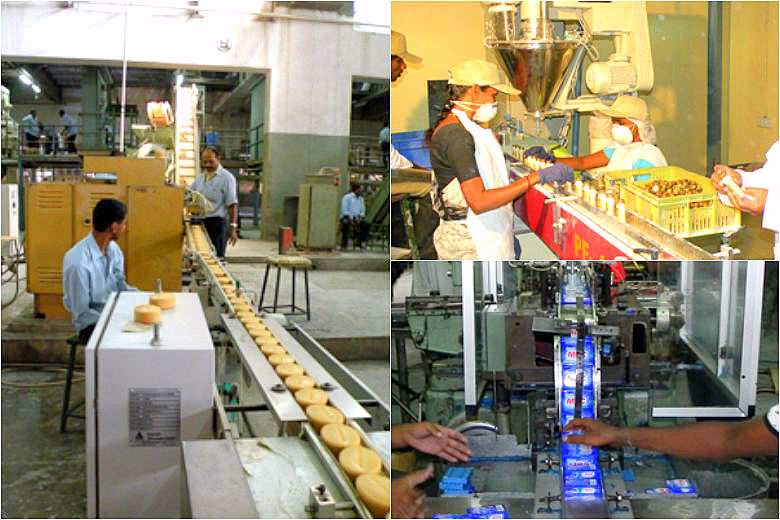 Manufacturing Mysore Sandal Soap