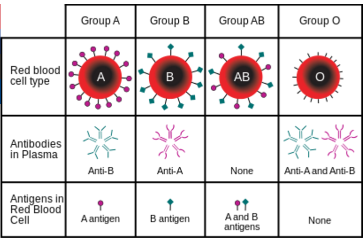 ABO Combinations