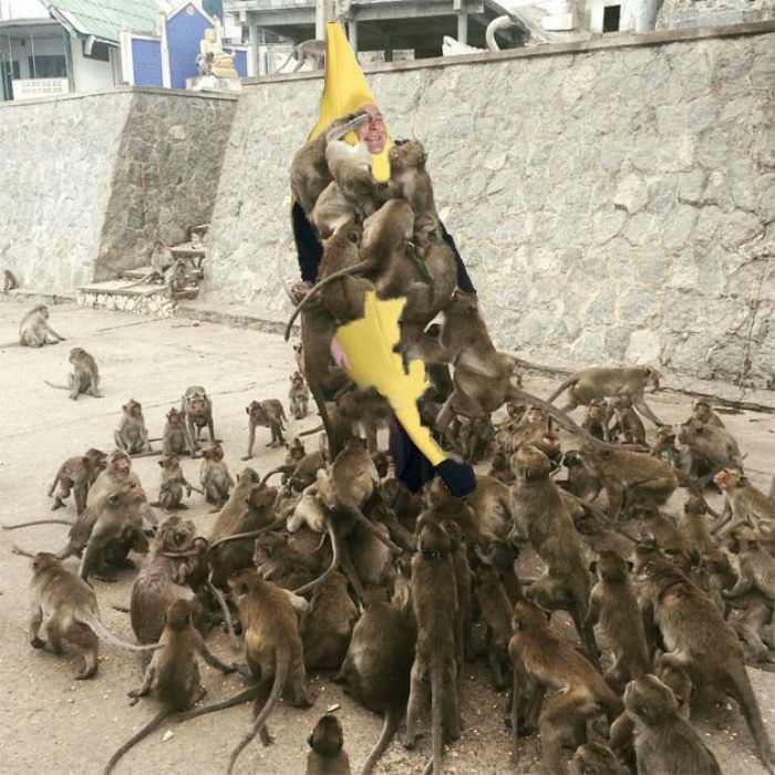 Man Becomes A Subject Of Online Mockery After Being Attacked By Mob Of Monkeys (4)