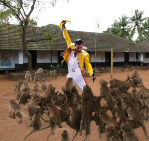 Man Becomes A Subject Of Online Mockery After Being Attacked By Mob Of Monkeys (8)