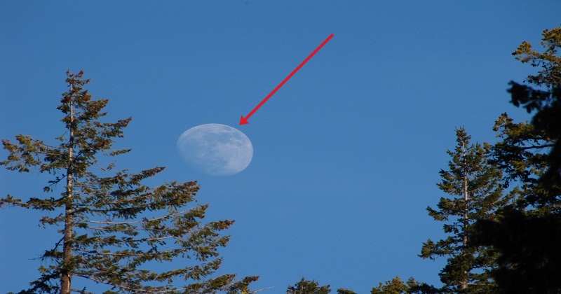 Why Do We Sometimes See The Moon During Daytime? Here’s The Reason
