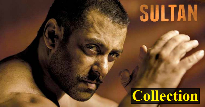 Sultan Movie collection