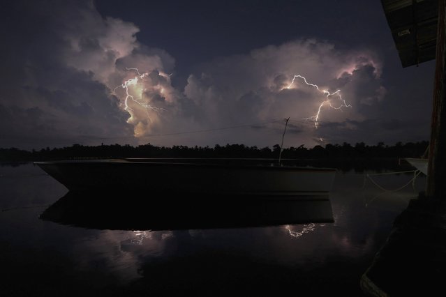 Stunning Images Of 'Nature's Fireworks' (1)