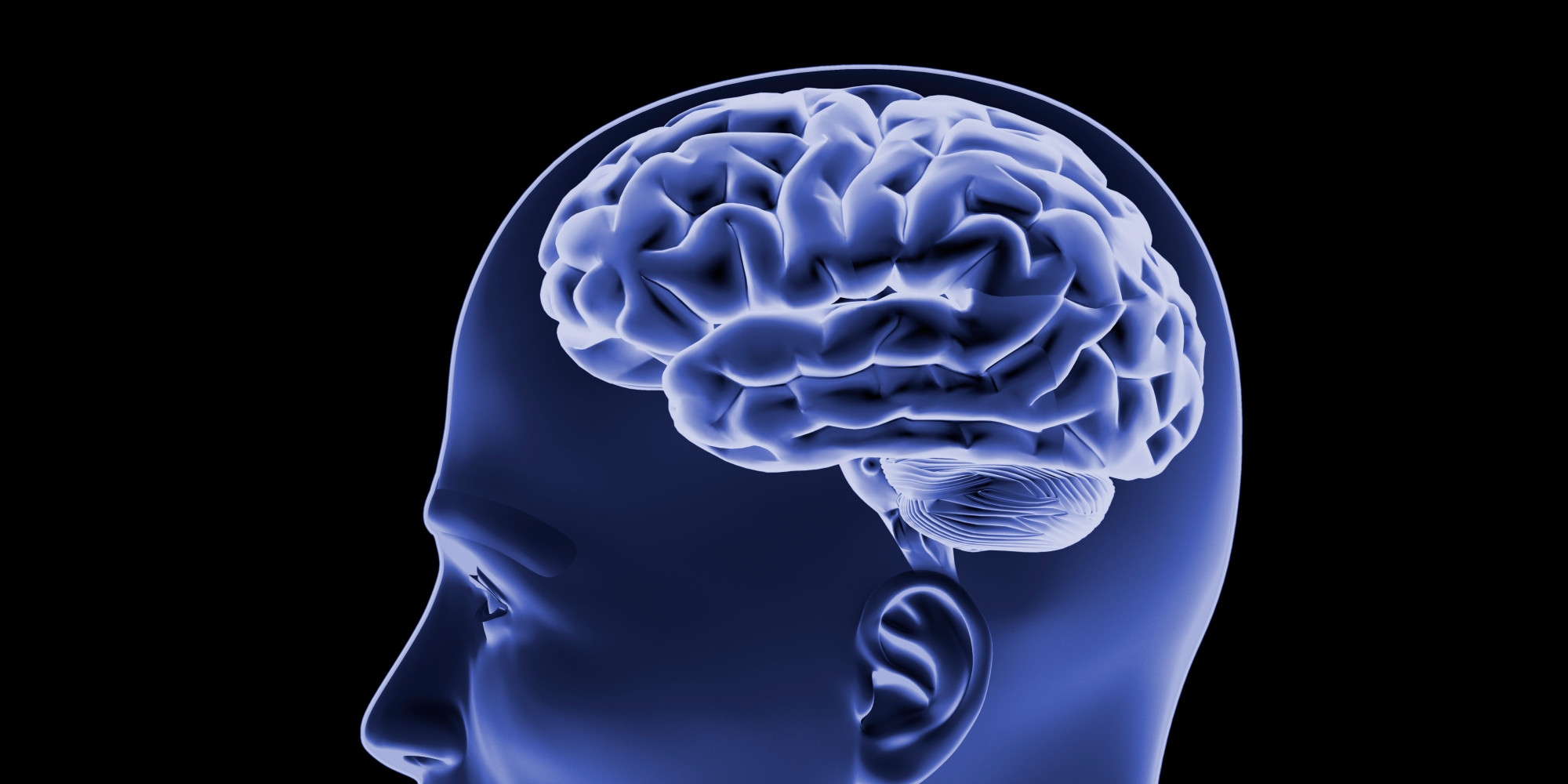 Human head with brain, 3D-illustration.