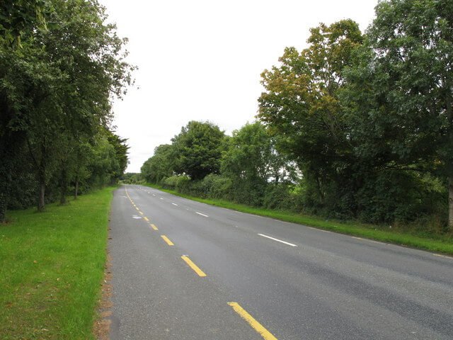 Broken Yellow Line - Why Do Some Roads Have White Markings While Others Have Yellow Ones (3)