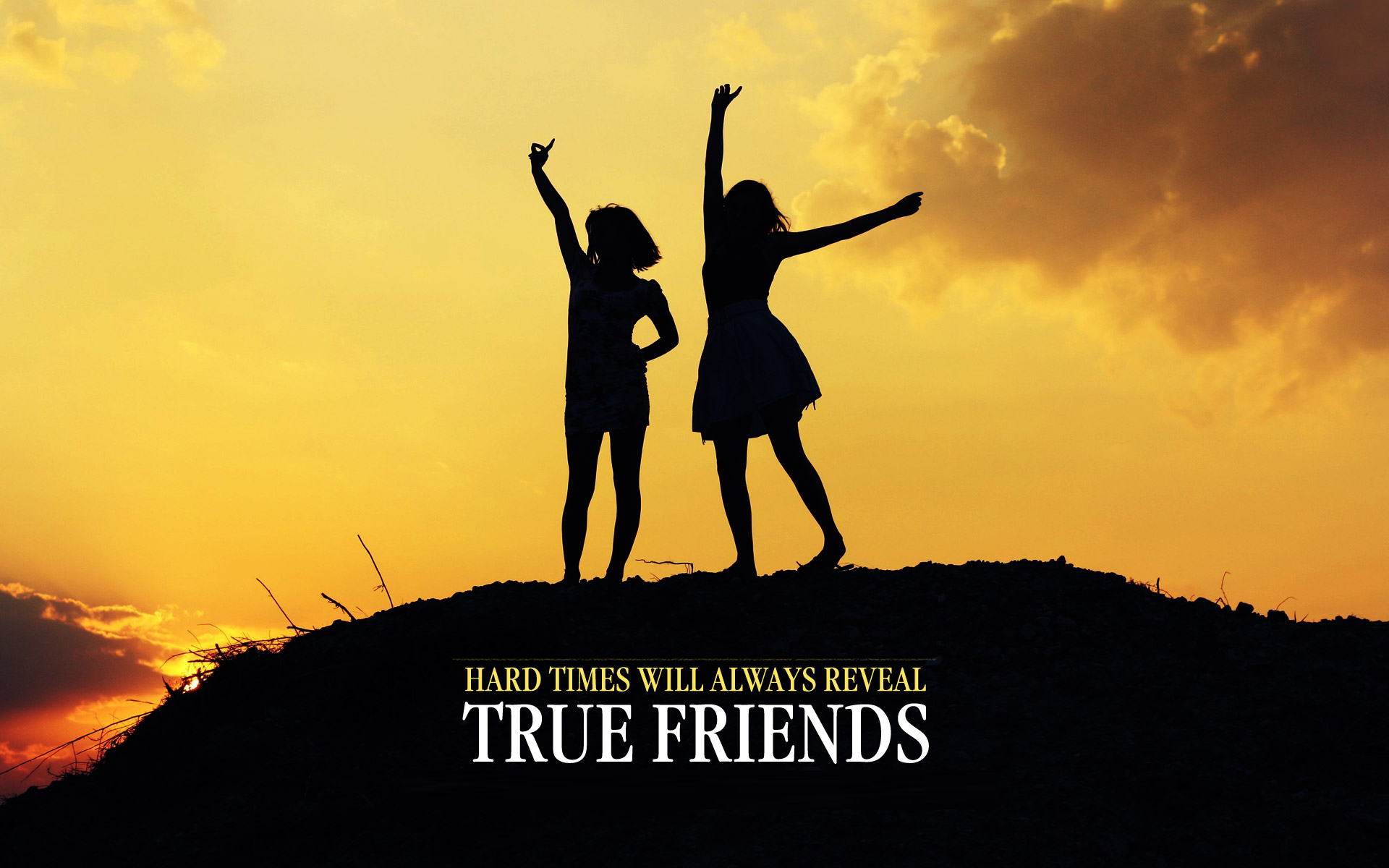Happy Friendship Day 2016 Images HD 3d Wallpapers Free Download For