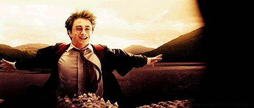 Harry Potter end