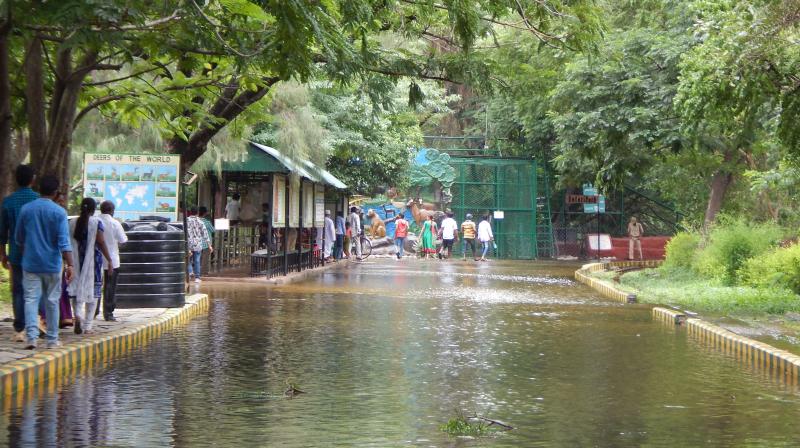 Safari-Park-at-Nehru-Zoological-Park-was-shut-due-to-heavy-water