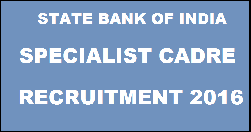 SBI Specialist Cadre Recruitment Notification 2016| Apply @ www.sbi.co.in